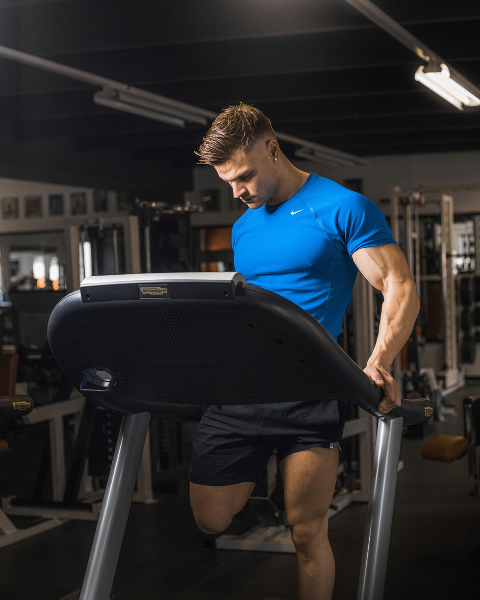 GuglielmoCoiro_Fitnessmodel